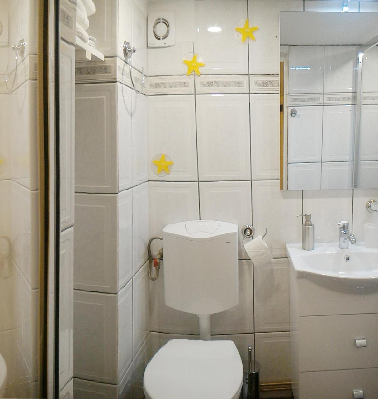 Republicii Rustic Apartament In Brasov City Center Braşov Exterior foto